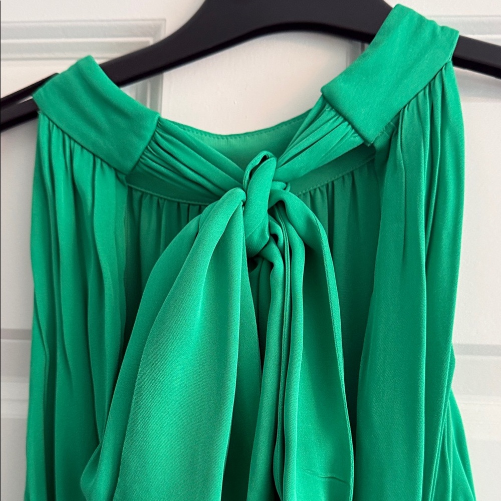 Green Sleeveless Jumpsuit - Picture 6 of 7
